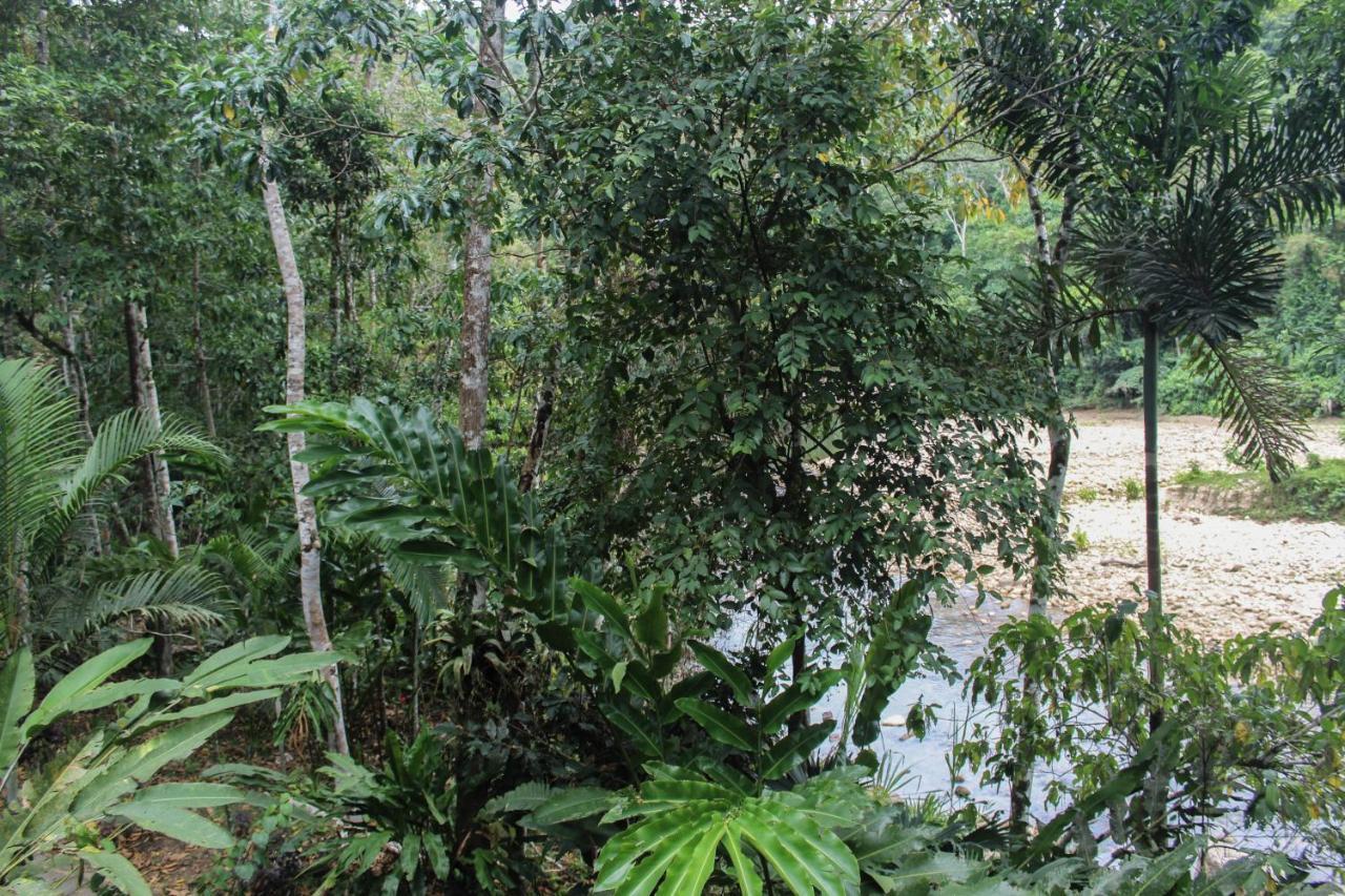 Chirapa Manta Amazon Lodge Lamas Exterior photo