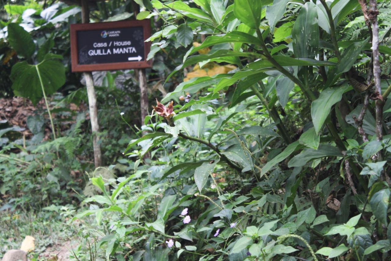 Chirapa Manta Amazon Lodge Lamas Exterior photo